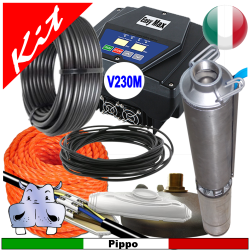 Impianto di sollevamento acqua pozzo pompa sommersa Caprari E4XED30-16 1,50HP V230 monofase - linea elettrica max 120ml - Abbinamento a Easymax murale pressione costante - Inverter: alimentazione V230 monofase - uscita V230 monofase